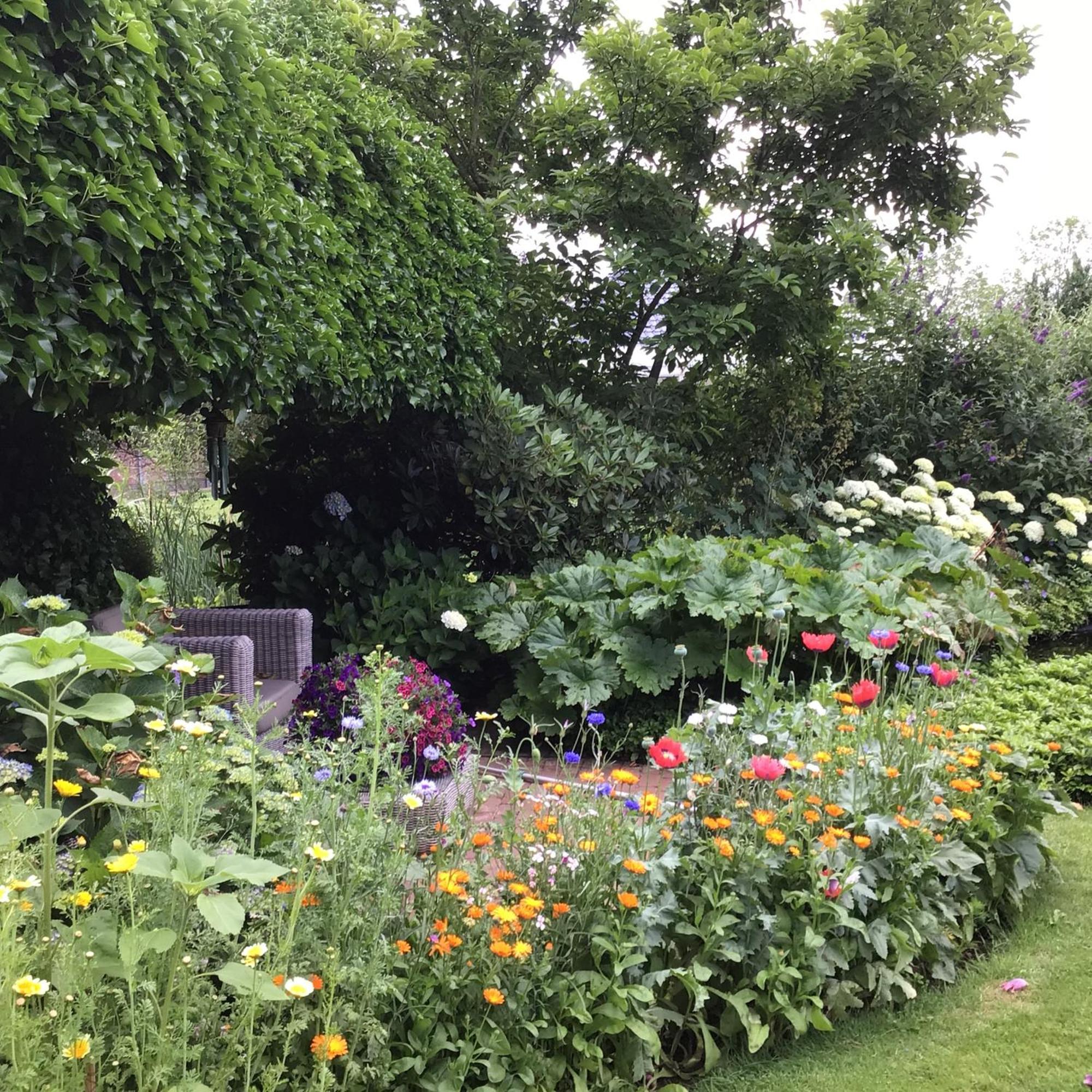 De Tuinkamer Frühstückspension Ter Apel